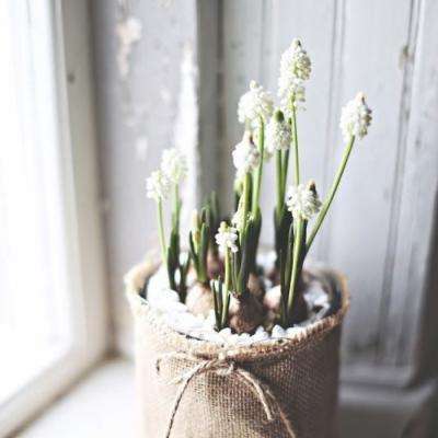 乐鱼手机app下载