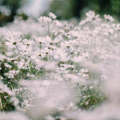 开元棋脾手机app下载截图