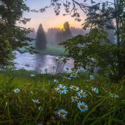 博鱼(boyu)·体育手机app下载